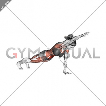 Front Plank with Arm Lift (push-up position) (female)