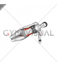 Side Plank (beginner) (female)