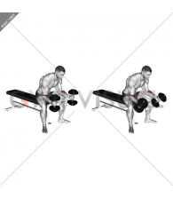 Dumbbell Seated Neutral Wrist Curl