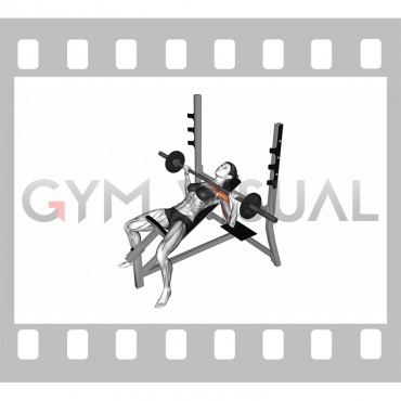 Barbell Incline Bench Press (female)