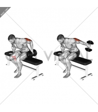 Dumbbell Seated One Arm Kickback