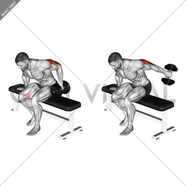 Dumbbell Seated One Arm Kickback