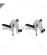 Dumbbell Seated One Arm Rotate