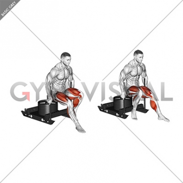 Power Sled Backward Push