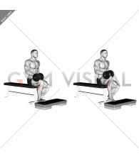 Dumbbell Seated One Leg Calf Raise