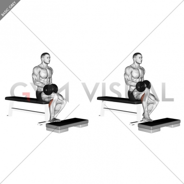 Dumbbell Seated One Leg Calf Raise