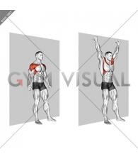 Shoulder Flexion Back to Wall