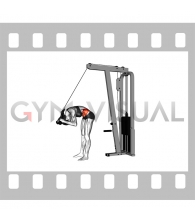 Cable Standing Crunch (with rope attachment) (female)