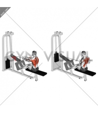 Cable Seated Row with V bar
