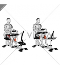 Lever Seated Calf Raise (plate loaded) (VERSION 2)