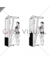 Cable Standing Reverse Grip Curl (Straight bar) (female)