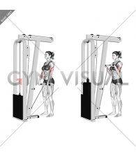 Cable Standing Reverse Grip Curl (Straight bar) (female)
