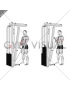 Cable Standing Reverse Grip Curl (Straight bar)