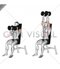 Dumbbell Seated Shoulder Press (parallel grip)