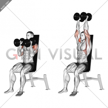 Dumbbell Seated Shoulder Press (parallel grip)