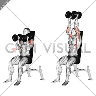Dumbbell Seated Shoulder Press (parallel grip) - Gym visual