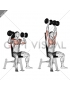 Dumbbell Seated Shoulder Press