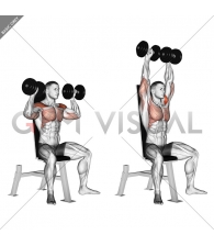 Dumbbell Seated Shoulder Press