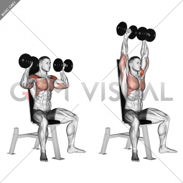 Dumbbell Seated Shoulder Press