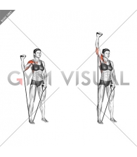 Band Single Arm Shoulder Press (female)