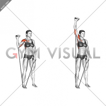 Band Single Arm Shoulder Press (female)