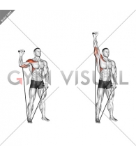 Band Single Arm Shoulder Press