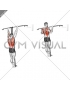 Band Assisted Pull-Up (VERSION 3)