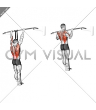 Band Assisted Pull-Up (VERSION 3)