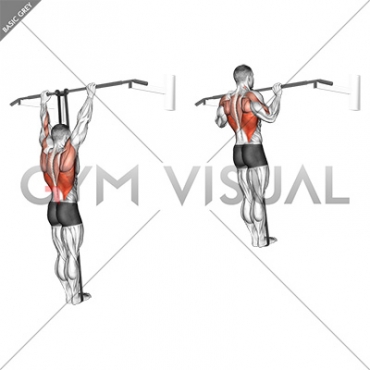 Band Assisted Pull-Up (VERSION 3)