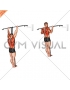 Band Assisted Pull-Up (VERSION 3)