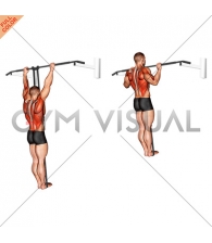Band Assisted Pull-Up (VERSION 3)