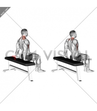 Scapula Dips