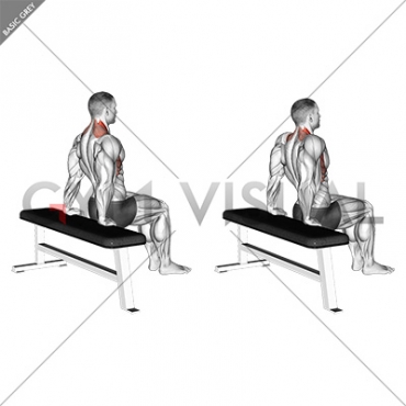 Scapula Dips