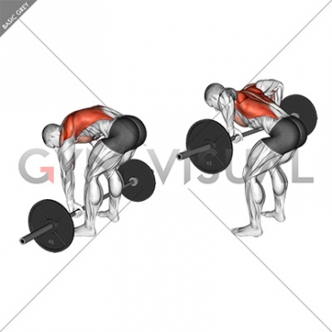 Barbell Pendlay Row