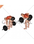 Barbell Pendlay Row