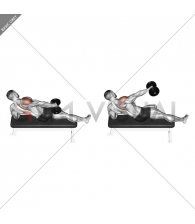Dumbbell Side Lying One Hand Raise