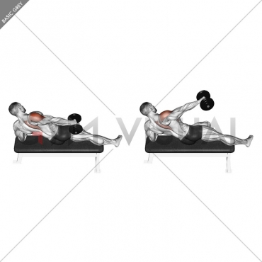 Dumbbell Side Lying One Hand Raise