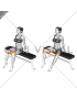 Resistance Band Seated Hip Abduction (female)