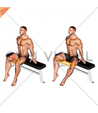 Resistance Band Seated Hip Abduction