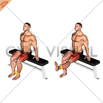 Resistance Band Leg Extension - Do Seated Leg Extensions with