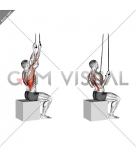 Band Fixed Back Underhand Pulldown