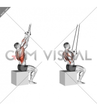 Band Fixed Back Close Grip Pulldown