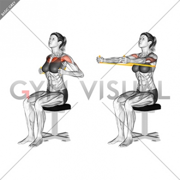 Resistance Band Seated Chest Press (female)