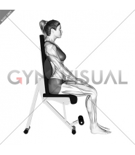 Static Position Seated Back with Pad (female)