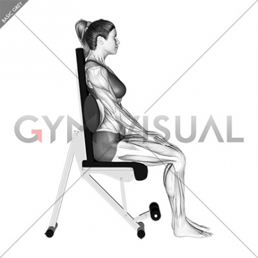 Static Position Seated Back with Pad (female)