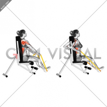 Resistance Band Seated Straight Back Row (female)