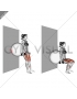 Dumbbell Squat (back on stability ball wall)