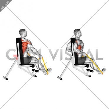 10+ Resistance Band Back Exercise Stock Illustrations, Royalty