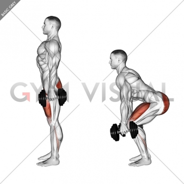 Dumbbell Squat