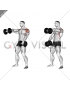 Dumbbell Standing Alternate Raise